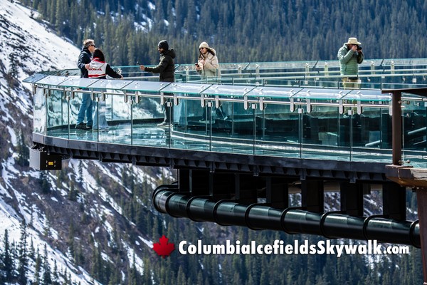 Jasper Columbia Icefield Glacier Skywalk